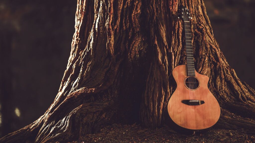 Acoustic Instruments in Modern Music: Why They’re Here to Stay